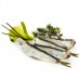 Baby Sardines in Olive Oil - Serrano (115 g)