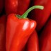 Red ‘Piquillo’ Peppers (Whole) - Conservas Serrano (Tin - 390 g)